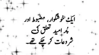 FM Urdu Novel | Original Romantic Urdu Story | Part 9