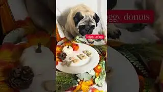🚨​Warning: Do not watch this ​😱​ | Spooky Halloween treat taste test with Petey the Pug 👻​  #pets