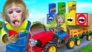 Monkey BuBu Enjoys Harvesting Rainbow M&M Candy on the Farm
