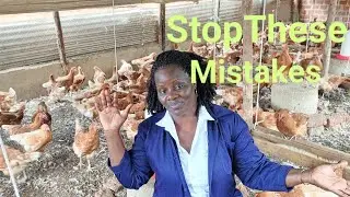 MISTAKES TO AVOID,Reasons why most home poultry farms fail