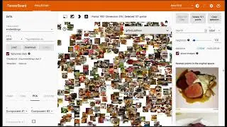 Fastdup Tensorboard Projector Integration