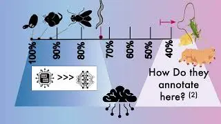 Annotation of functional information in organisms using... - Ana Maria Rojas - Poster - ISMB 2024