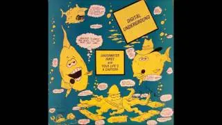 Digital Underground - Underwater Rimes (Radio Edit)