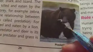 Predator prey relationship