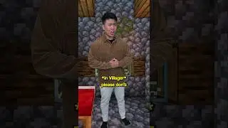 Life Of A Minecraft Villager