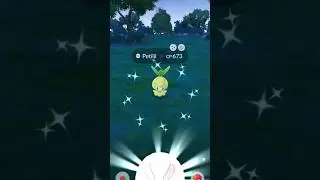 Got ✨️Shiny Petilil                                     #pokemongo