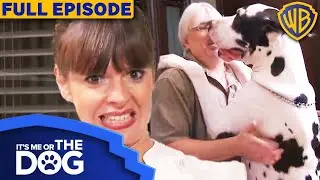 It's Me or The Dog USA | Season 1 Episode 6 | Warner Bros. TV