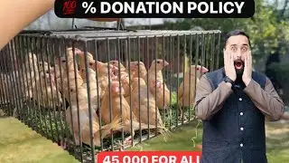 Naveed sheikh birds | All Money Collected From This Sale Shall Go Towards Charity | Fawn Java 