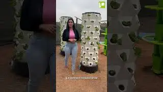 WeGrow sistema hidrop&oacute;nico vertical
