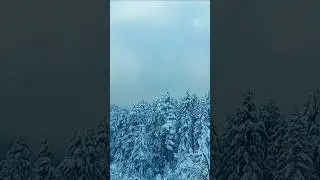 Snowfall Video #kashmir #ytshorts