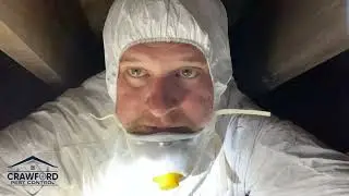 Inspecting a Crawlspace and What to Look for with Regards to Subterranean Termites