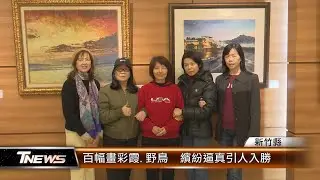 百幅畫彩霞.野鳥  繽紛逼真引人入勝│T-NEWS聯播網