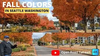 Seattle's Fall Colors - Just Go Outside!