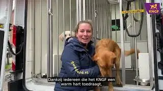 Jouw steun verandert levens, dankjewel!