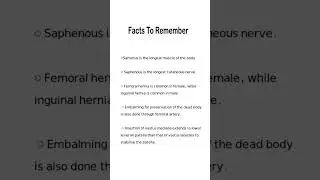 Key Anatomy Facts to Remember