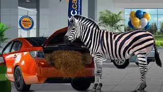 OMVIC Commercial: Buy with Confidence