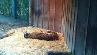 Point Defiance Zoo and Aquarium