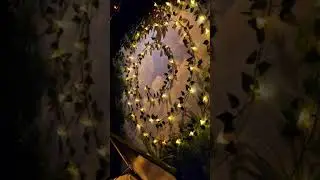 Jungle Treasure - Master Escape's Outdoor Escape Game Experience