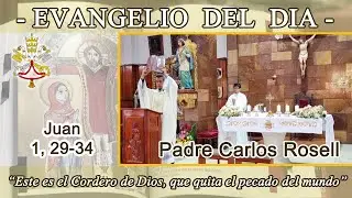 Evangelio día Sábado 03/01/26 - Padre Carlos Rosell - Juan 1, 29-34 -  El testimonio de Juan.