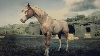 Red Dead Redemption 2: Every Horse - Red Roan Tennessee Walker