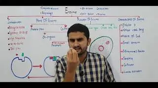 Ch 3 Lec.1 Enzyme Introduction Fsc Part.1 Ch.3 Urdu/Hindi lecture MDCAT, NEET, NCERT Pre By M Bilal.