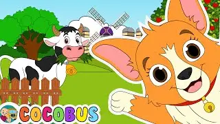 Bingo + Old MacDonald Had A Farm - Nursery Rhymes & Kids Songs | Baby Songs
