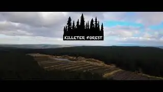 Killeter Forest