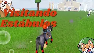 Visitando os estábulos dos inscritos no wild horse islands!