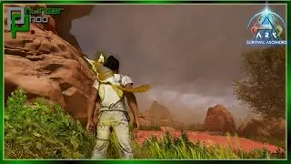 The Desert can be Brutal! 5 Tame Challenge EP 49 in Ark Survival Ascended