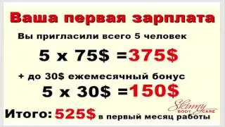 Короткая презентация SBC Leader пассив 20000 $