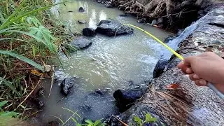 MUDAHNYA MANCING UDANG DI MUSIM HUJAN !! Ternyata spot ini masih ada penghuni babon wader