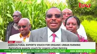 Agriculture Society of Kenya (ASK) promoting chemical-free kitchen organic urban farming
