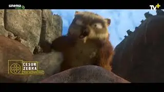 Cesur Zebra - TV+ &Ccedil;ocuk Kategorisinde