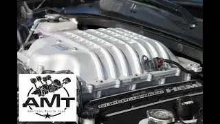 AMERICAN MUSCLE TEAM RACE & PARTY