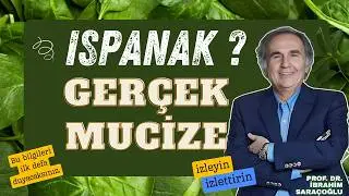 ISPANAĞIN İNANILMAZ FAYDALARI VE ISPANAK K&Uuml;R&Uuml; TARİFİ. #ıspanak #ibrahimsara&ccedil;oğlu #demir #vitaminler