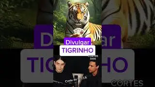 Super Xand&atilde;o Divulga Tigrinho! live do Felca