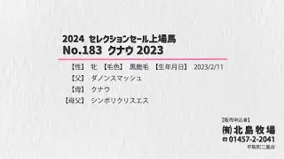 【セレクションセール2024】No.183 クナウ2023