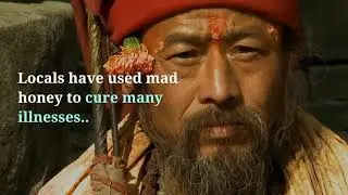 Mad Honey- With Various Benefits For Human Health