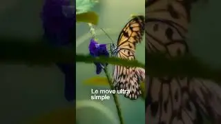 La vraie peur cach&eacute;e