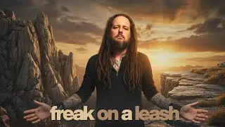Freak on a Leash &mdash; акустическая кавер-версия поп-фолка (в стиле ню-метал)