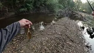 Returning to the Maries River after several years