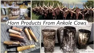 Value Addition The Hope Of Africa's Economy || Crafts From Ankole long Horned Cows, Western Uganda🇺🇬