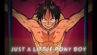 Pony Boy Meme| Luffy