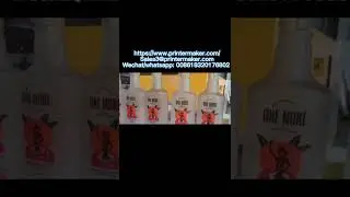 China most advance CNC screen printer on oval bottles model SGL