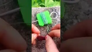 Awesome Asian Fishing（279） 🐟 Primitive Rural Fishing Techniques 🐟 #shorts