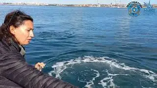Welcome to Raggy Charters | Whale Watching in Port Elizabeth