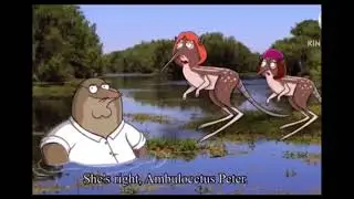 AMBULOCETUS PETER (not mine)