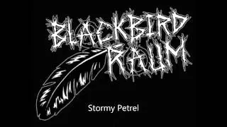 Blackbird Raum - Stormy Petrel
