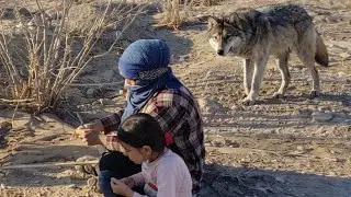Finding Water at Only Half a Meter Depth | The Hard Life of a Lonely Nomadic Woman