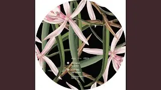 Parle-Moi